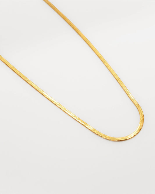 Quisada Gold necklace — stainless steel | NOEVAH