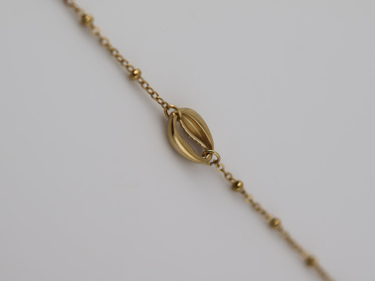 Coquillage Bracelet — NOEVAH
