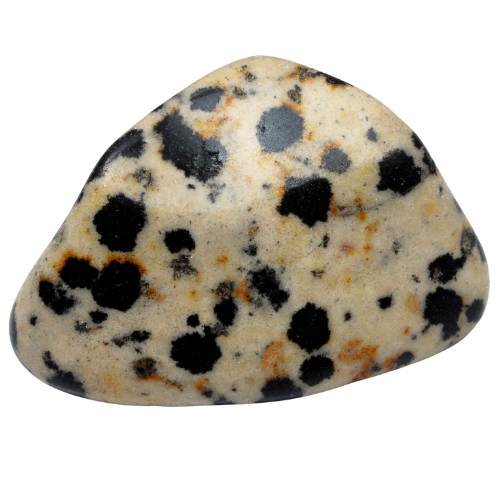 Dalmatian Jasper